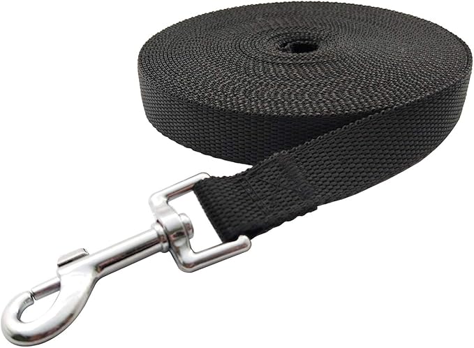 Durable Nylon Pet Leash (Reinforced with Metal Buckle, Showcasing High - Quality Craftsmanship)