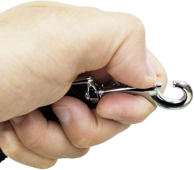 Durable Nylon Pet Leash (Reinforced with Metal Buckle, Showcasing High - Quality Craftsmanship)