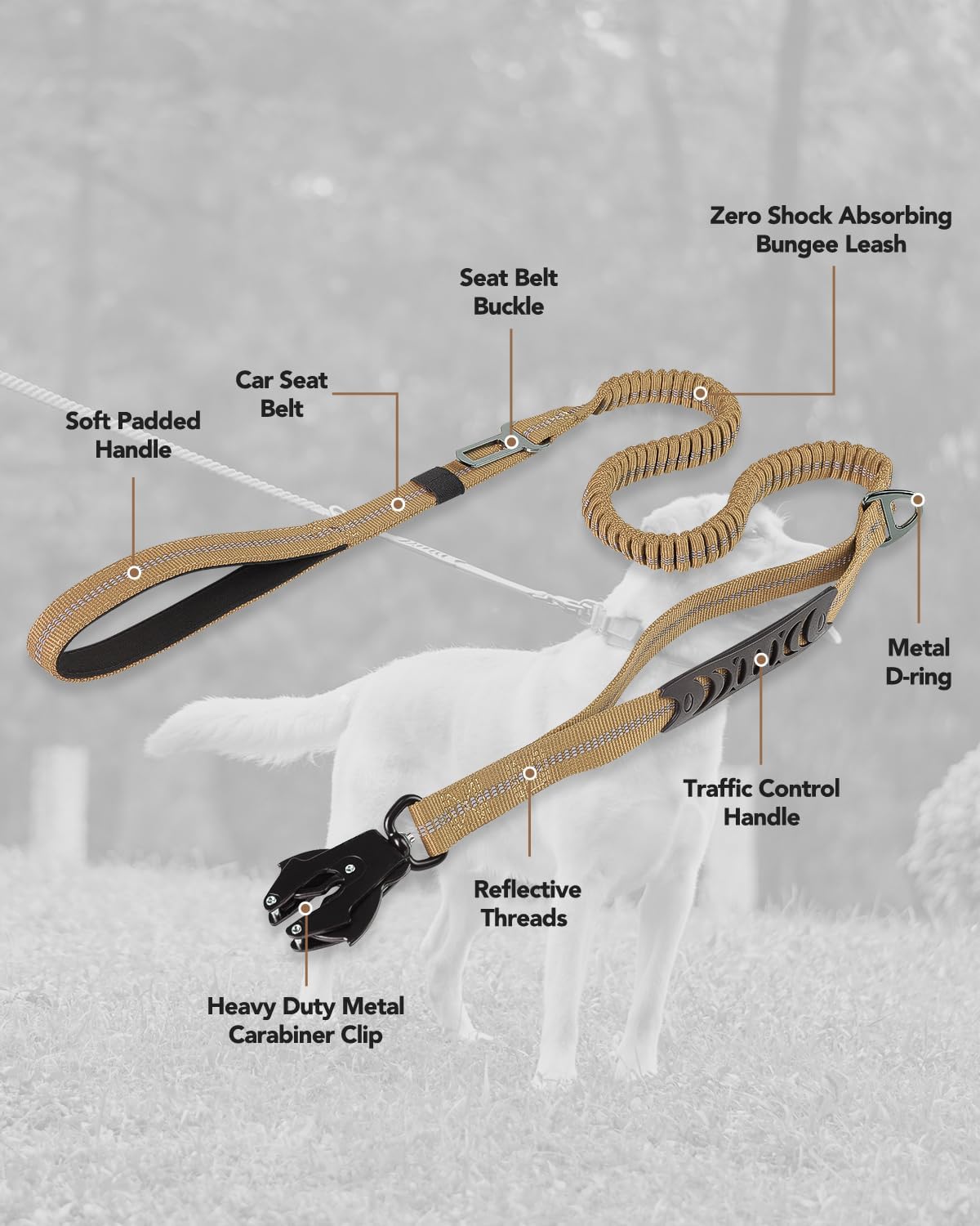Multi - Functional Bungee Dog Leash with Car Seat Belt & Dual Handles (Adapt to Various Scenarios)