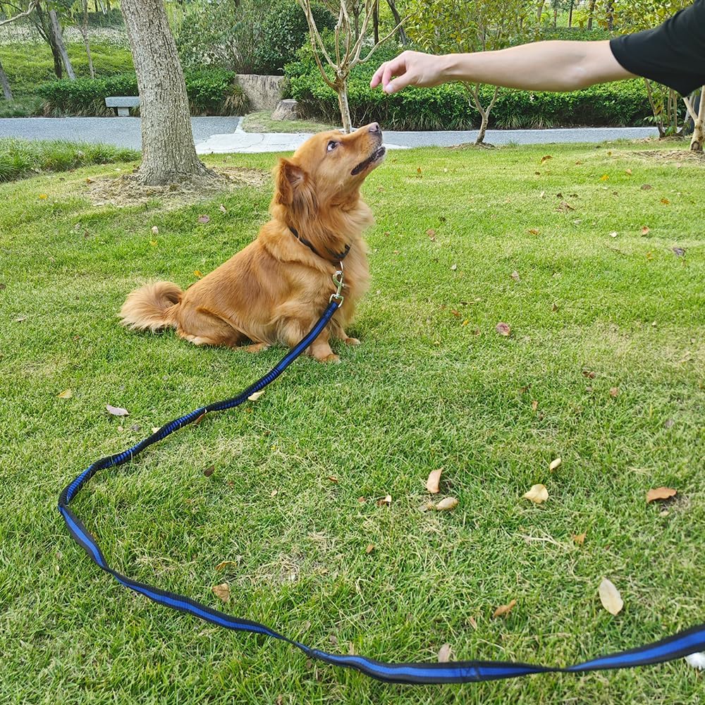 Durable Shock Absorbing Nylon Dog Training Leash – 5m Long Anti-Twist Lead with Padded Handle for Medium & Large Dogs