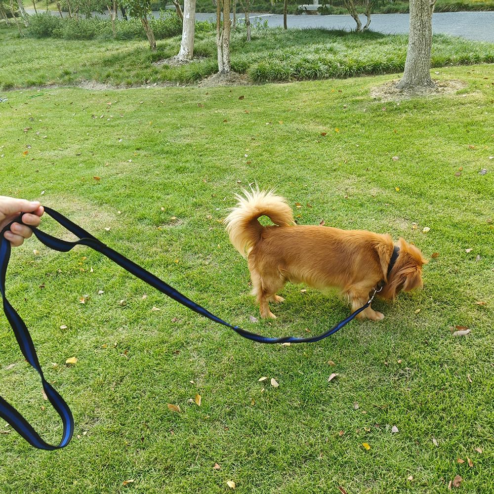 Durable Shock Absorbing Nylon Dog Training Leash – 5m Long Anti-Twist Lead with Padded Handle for Medium & Large Dogs