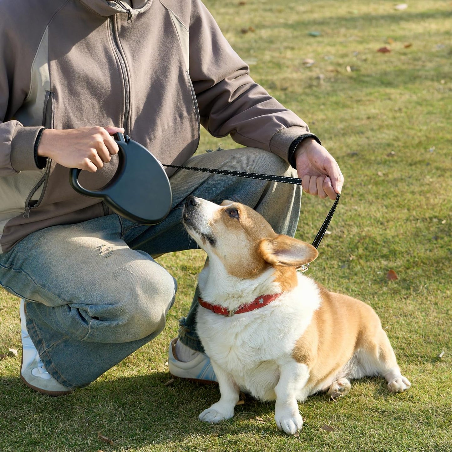 Retractable Pet Leash (Flexible Control, Portable and Easy to Use)
