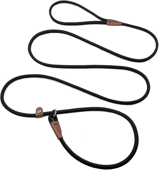 All - in - One Nylon Slip Lead Dog Leash (Adjustable Collar + Dual - Handle Design, Suitable for Multiple Dog Breeds)