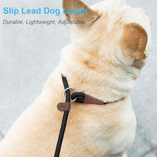 All - in - One Nylon Slip Lead Dog Leash (Adjustable Collar + Dual - Handle Design, Suitable for Multiple Dog Breeds)