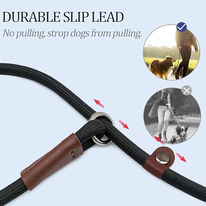 All - in - One Nylon Slip Lead Dog Leash (Adjustable Collar + Dual - Handle Design, Suitable for Multiple Dog Breeds)