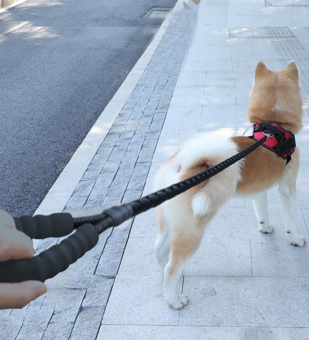 Reflective Heavy Duty Nylon Dog Leash – 5ft Long Padded Handle Rope Lead for Night Safety, Medium to Large Dogs
