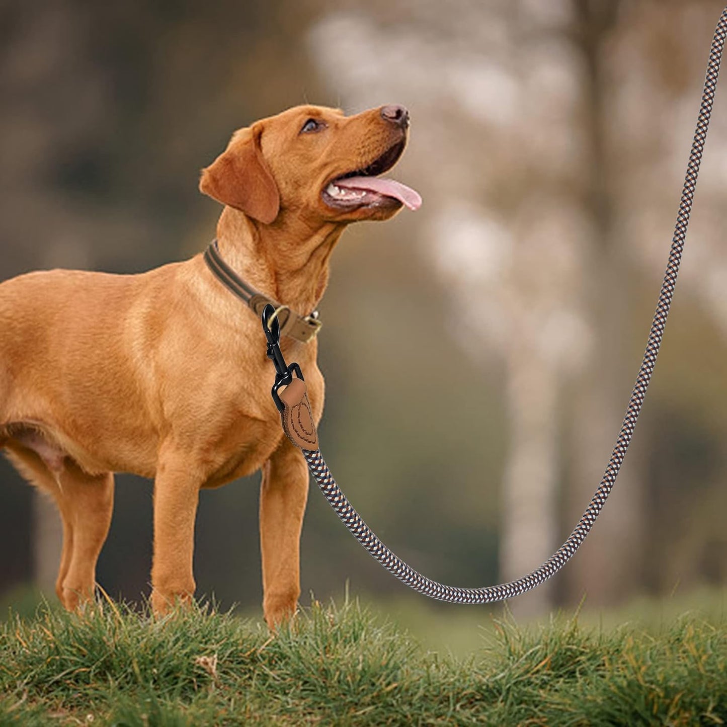 [Heavy-Duty Woven] 100% Cotton Dog Leash – Soft & Durable Rope Lead with Comfortable Handle and Reinforced Swivel Hook, Ideal for Small & Medium Dogs