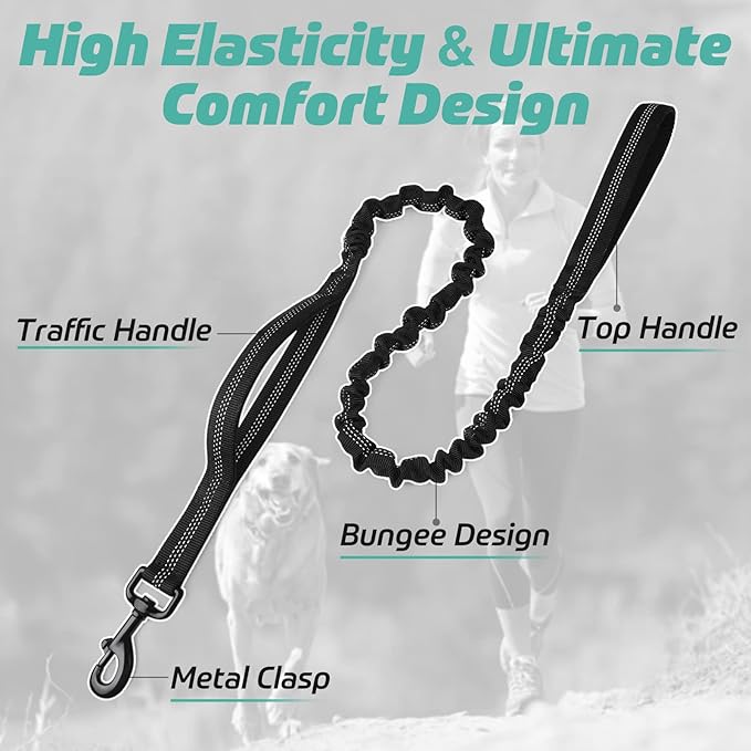 High - Elasticity Dual - Handle Bungee Dog Leash (with Traffic Short Handle, Suitable for Active Walking Scenarios)