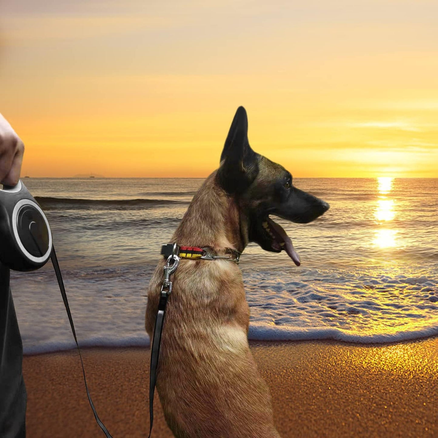 26FT Retractable Dog Leash (Portable & Labor - Saving, Multi - Size Design)
