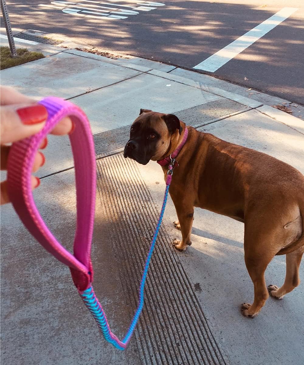 [Durable & Tangle-Free] Pink & Blue Braided Nylon Dog Leash – Soft Handle and Metal Swivel Hook for Small and Medium Dogs