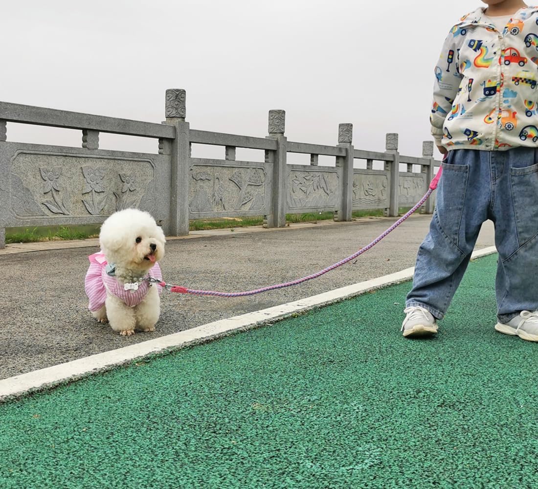 [Durable & Tangle-Free] Pink & Blue Braided Nylon Dog Leash – Soft Handle and Metal Swivel Hook for Small and Medium Dogs