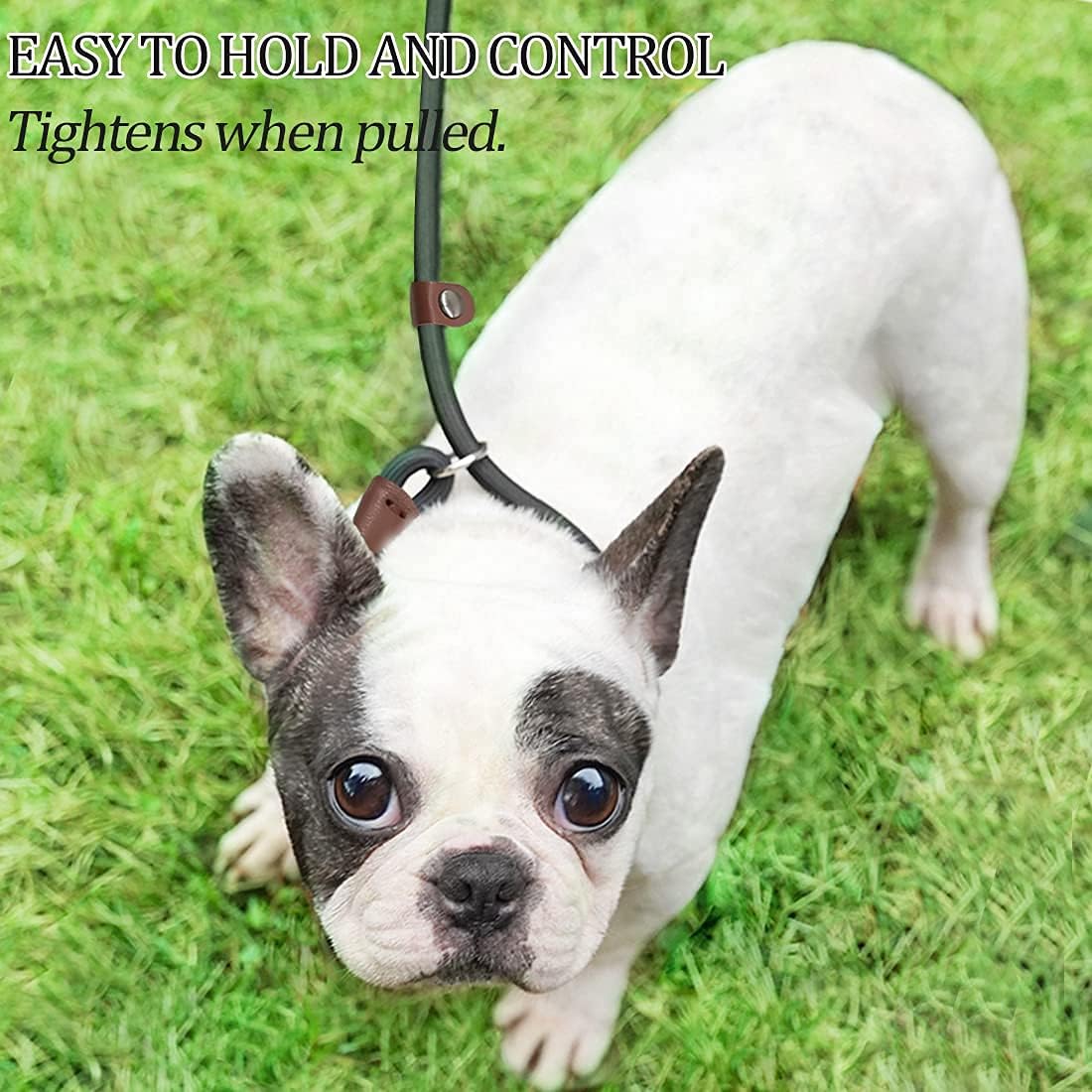 All - in - One Nylon Slip Lead Dog Leash (Adjustable Collar + Dual - Handle Design, Suitable for Multiple Dog Breeds)