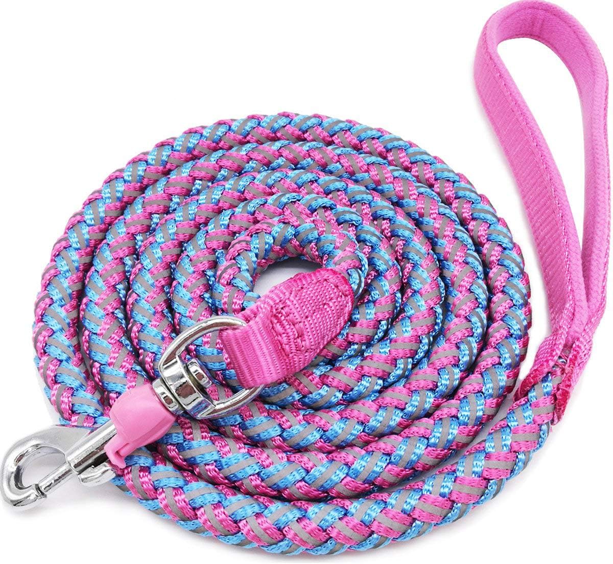[Durable & Tangle-Free] Pink & Blue Braided Nylon Dog Leash – Soft Handle and Metal Swivel Hook for Small and Medium Dogs