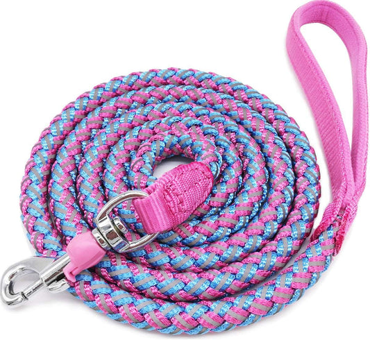 [Durable & Tangle-Free] Pink & Blue Braided Nylon Dog Leash – Soft Handle and Metal Swivel Hook for Small and Medium Dogs